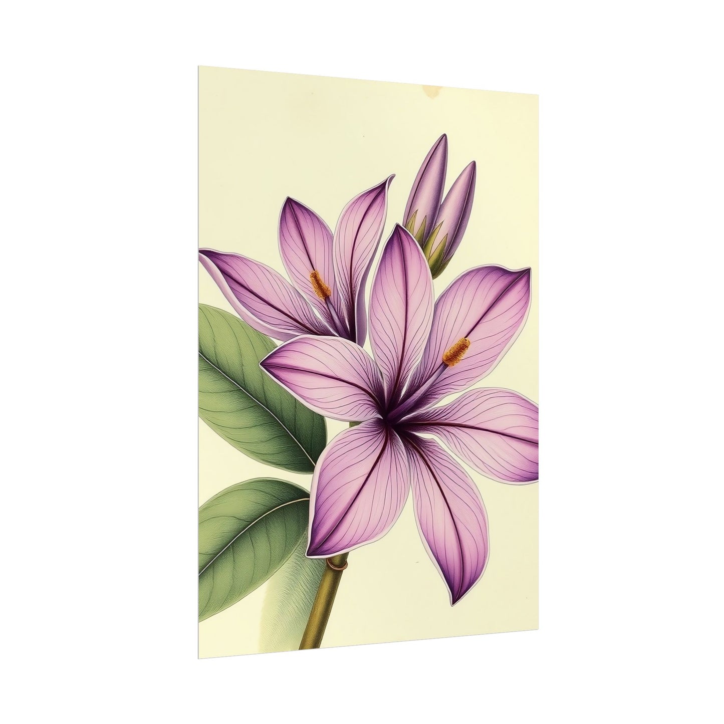 Vintage Purple Lily Poster