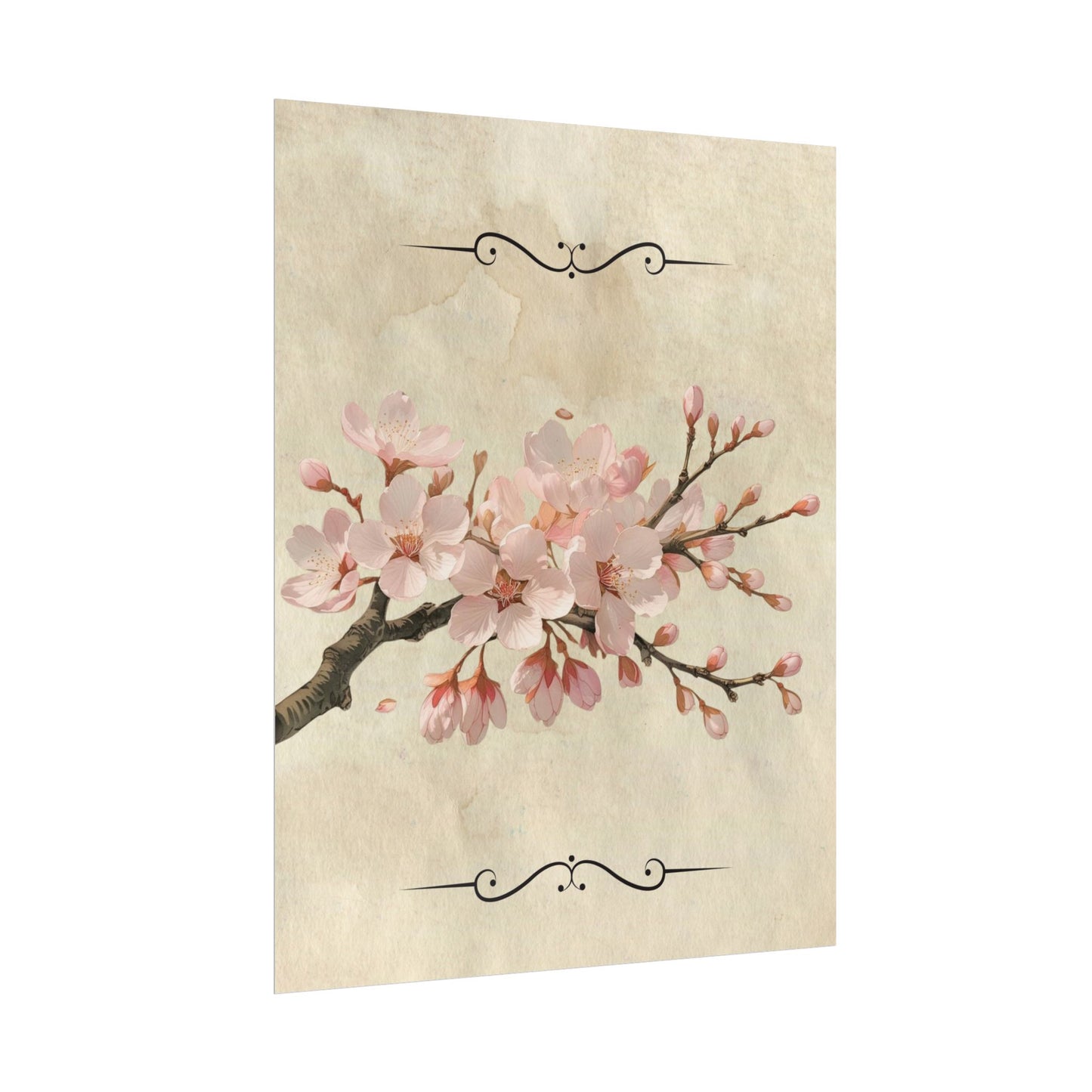 Vintage Cherry blossom on Rolled Posters