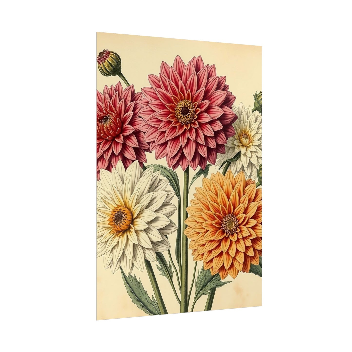Vintage Flower Poster