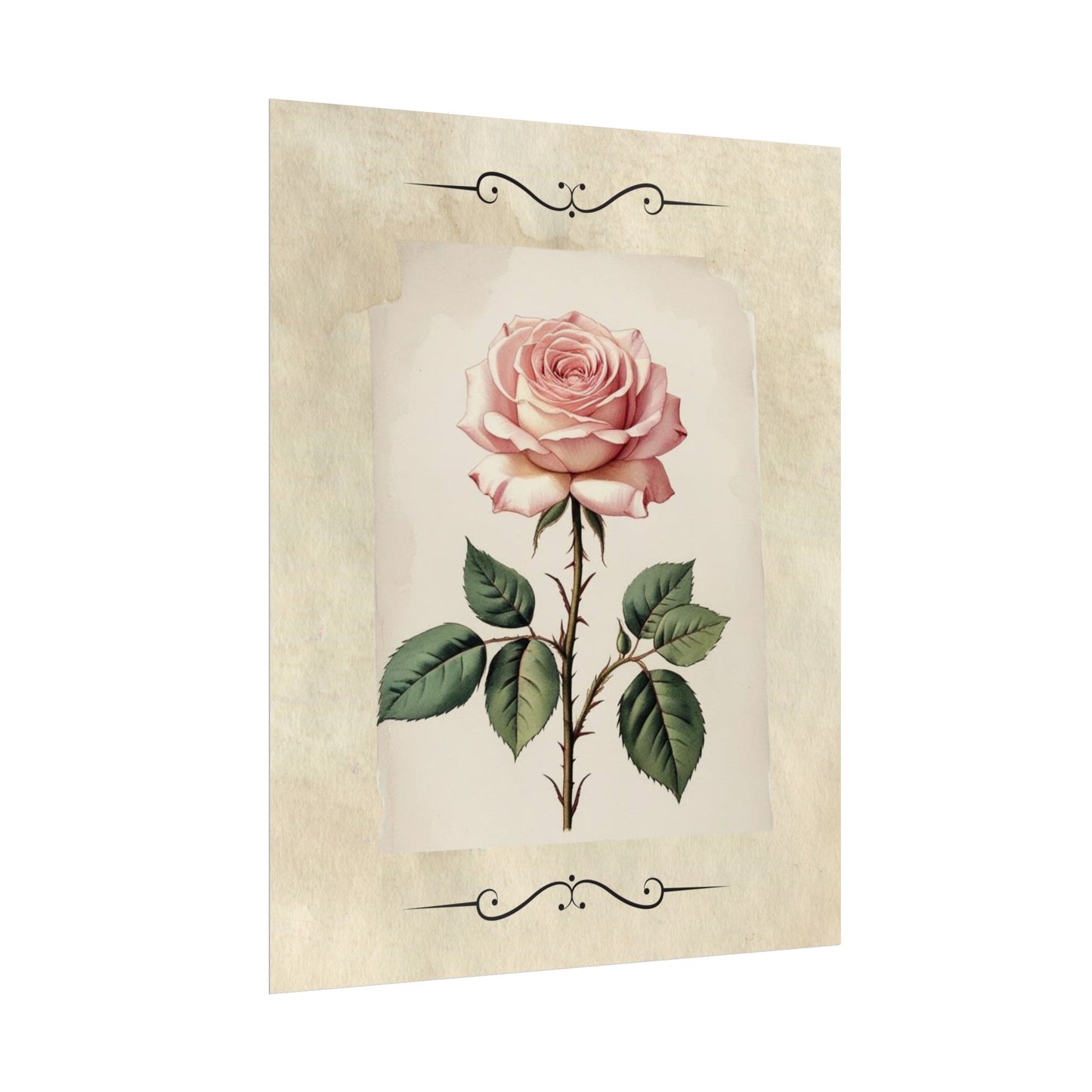 Poster Prints - Vintage Pink Rose Design
