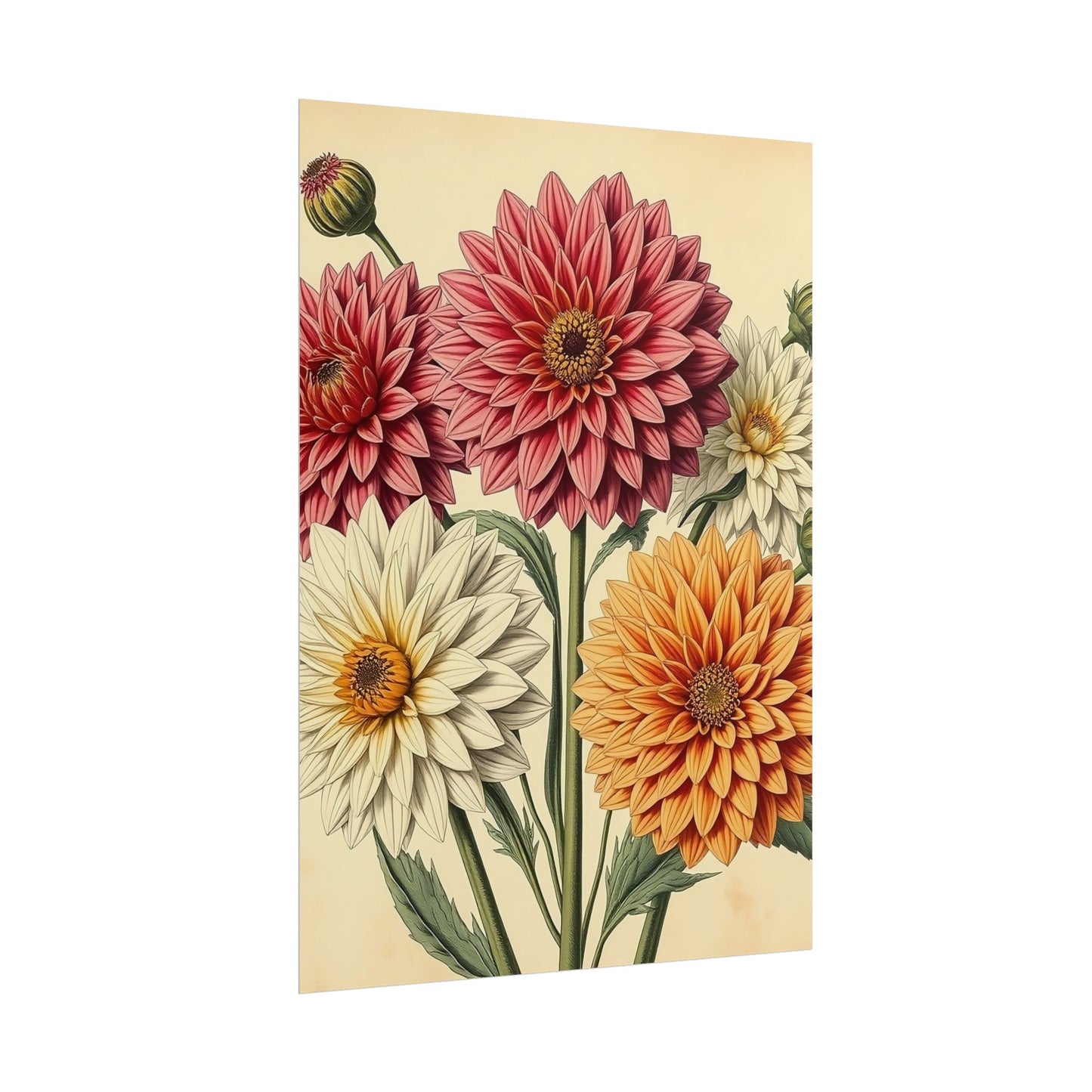 Vintage Flower Poster