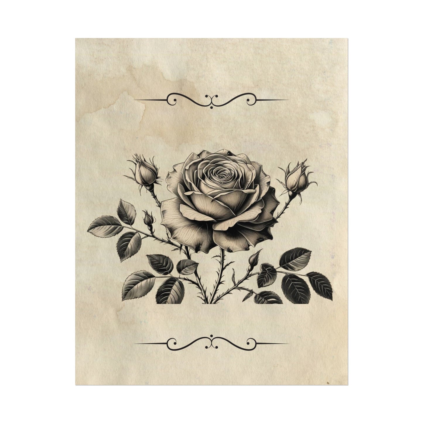 Poster Print - Vintage Black and Grey Rose Design