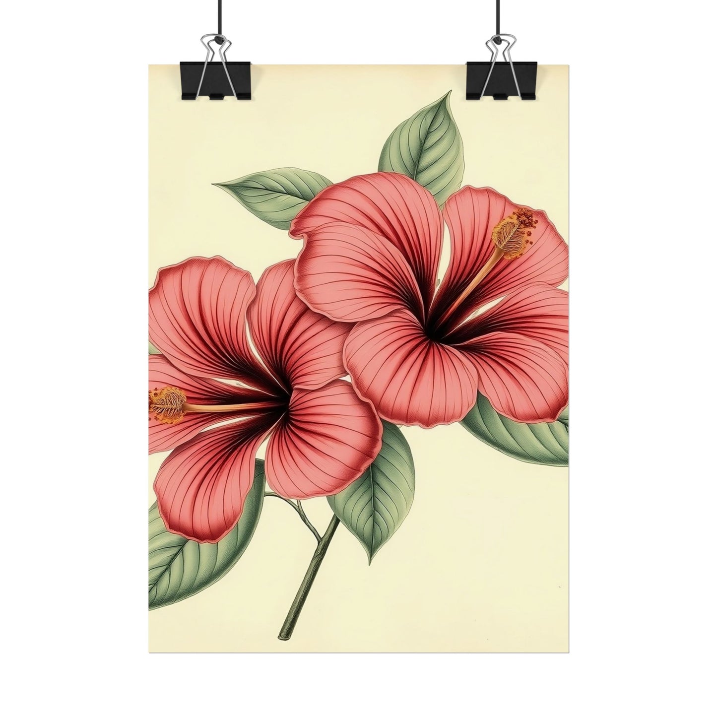 Vintage Hibiscus Poster
