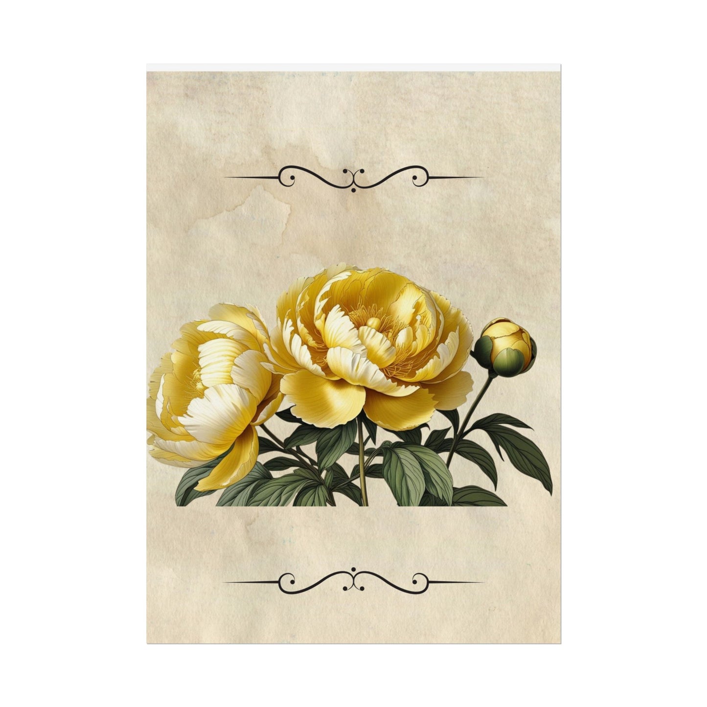 Poster Print Vintage Peony