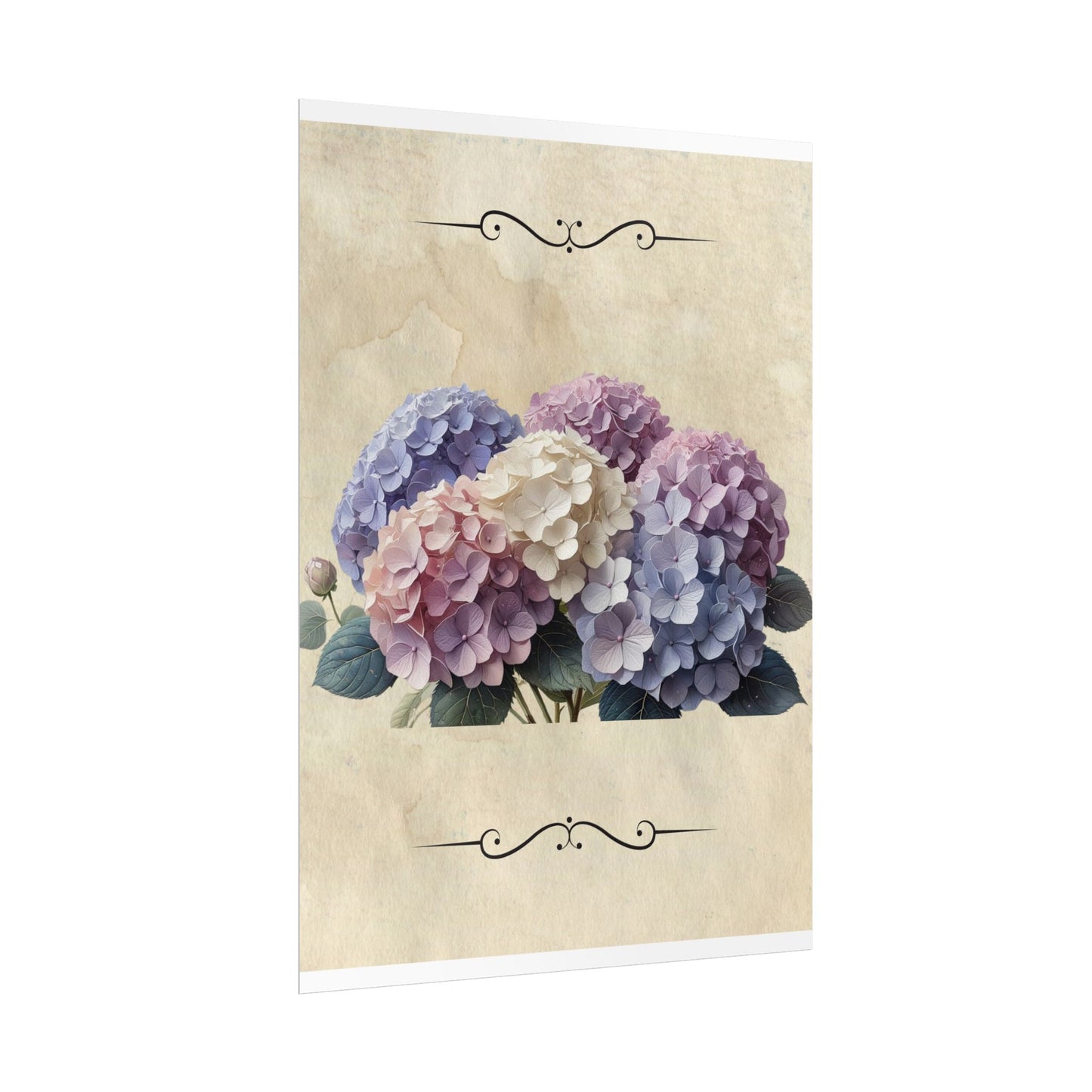Rolled Posters - Vintage Hydrangea Wall Art