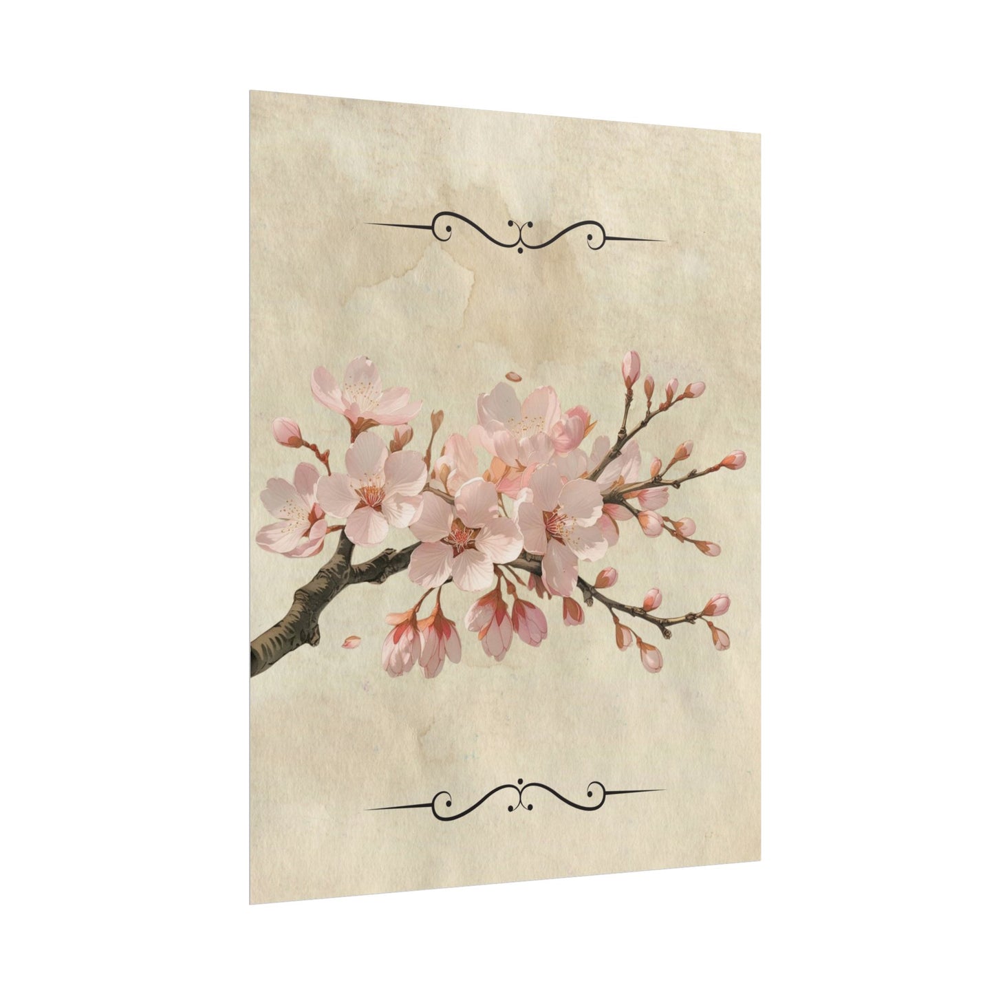 Vintage Cherry blossom on Rolled Posters