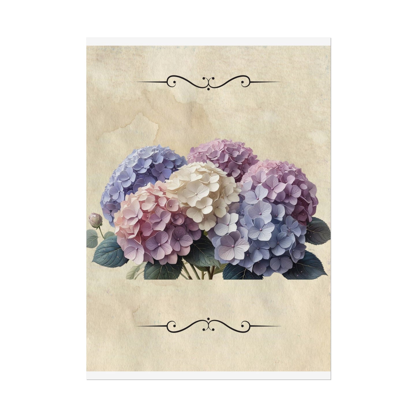 Rolled Posters - Vintage Hydrangea Wall Art