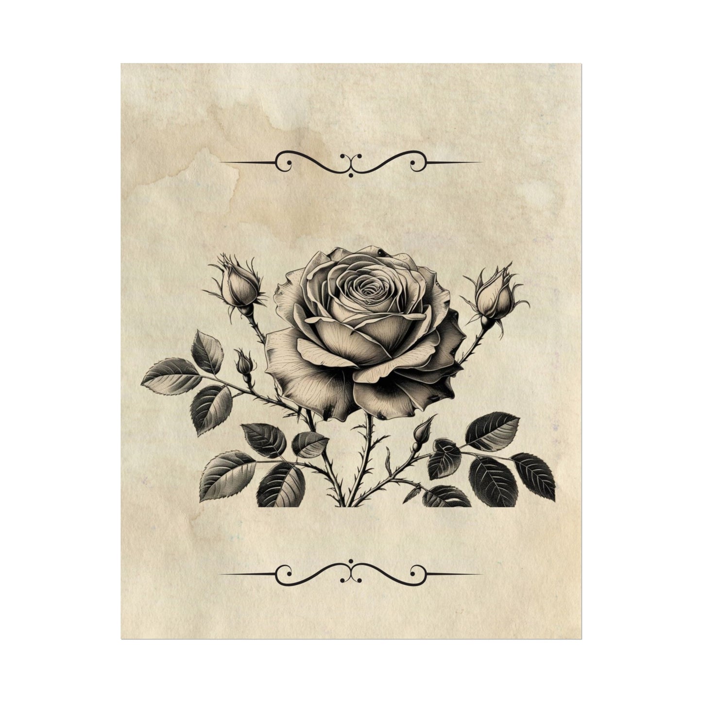 Poster Print - Vintage Black and Grey Rose Design