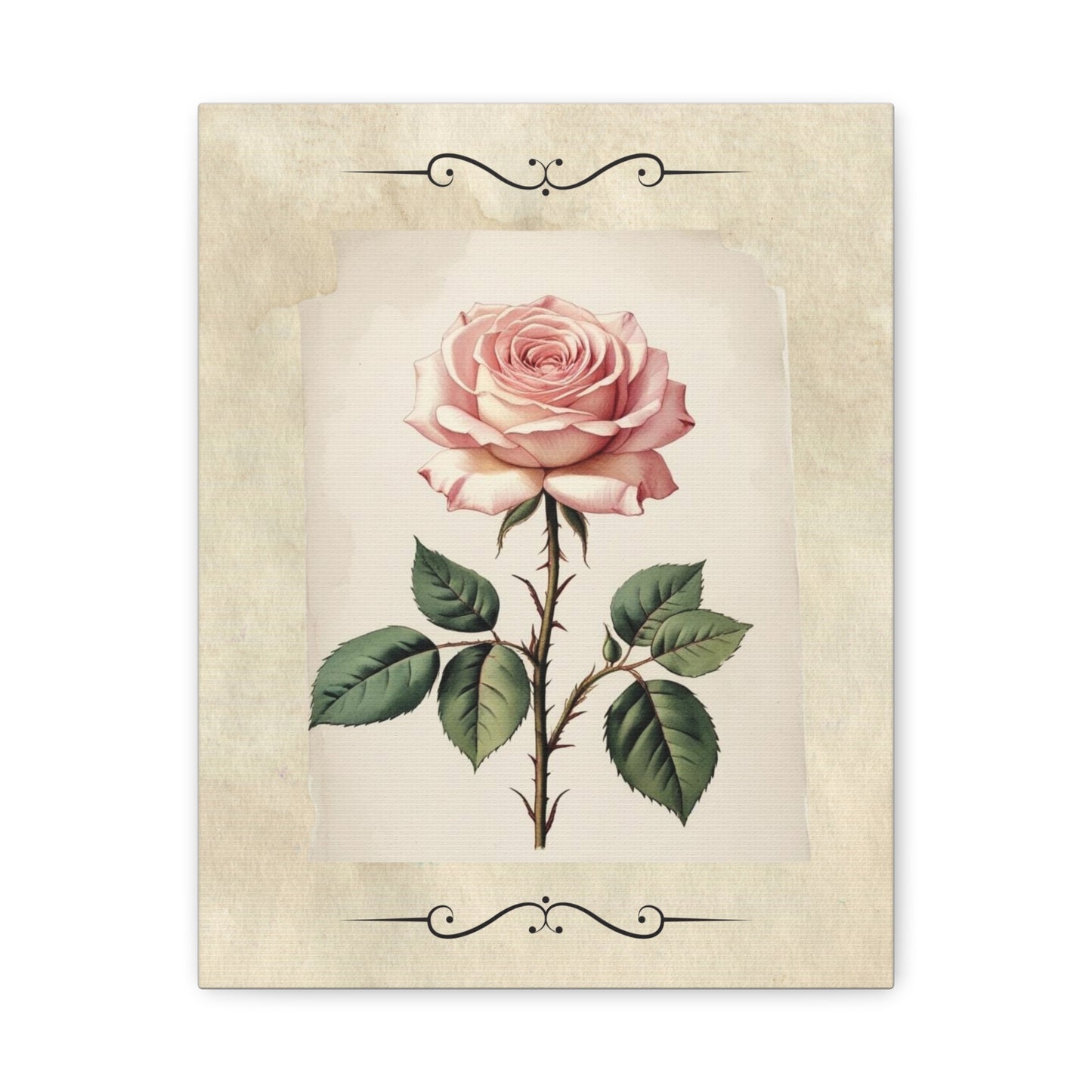 Vintage pink rose on Matte Canvas, Stretched, 1.25"