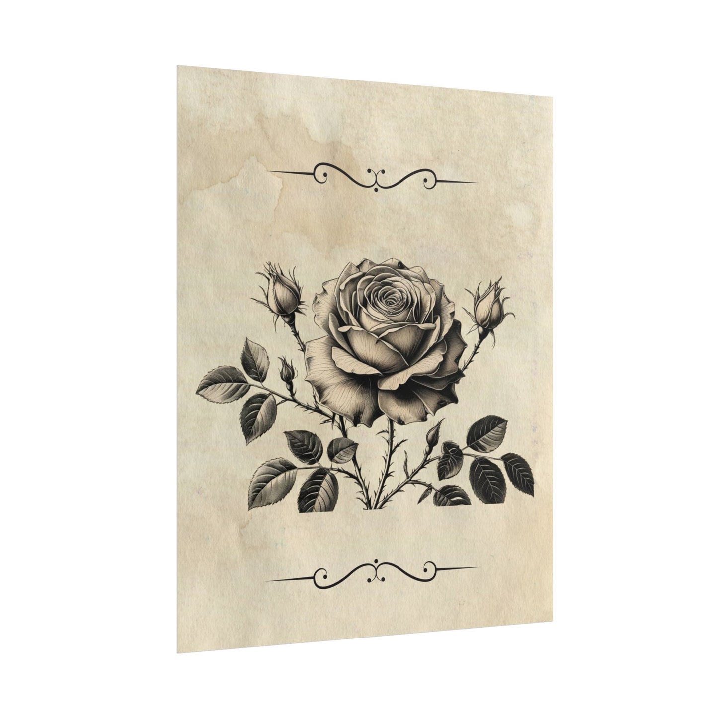 Poster Print - Vintage Black and Grey Rose Design