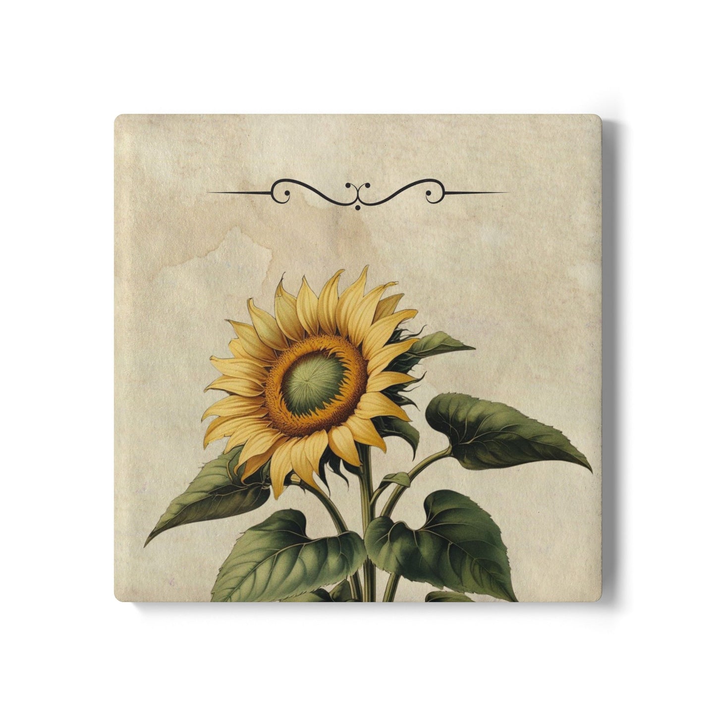 Vintage sunflower flower Ceramic Coaster