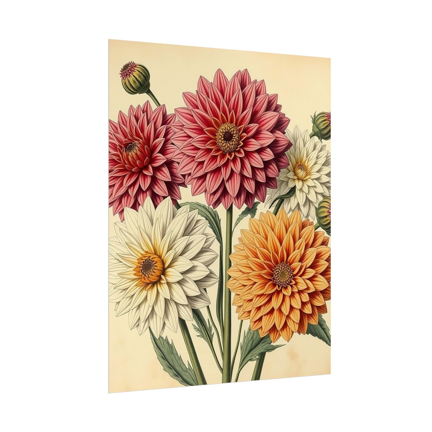 Vintage Flower Poster