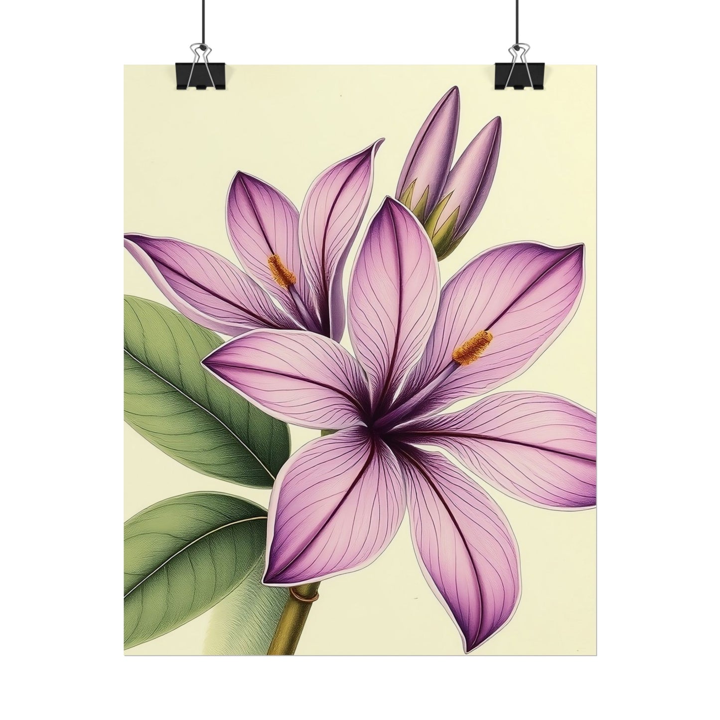 Vintage Purple Lily Poster