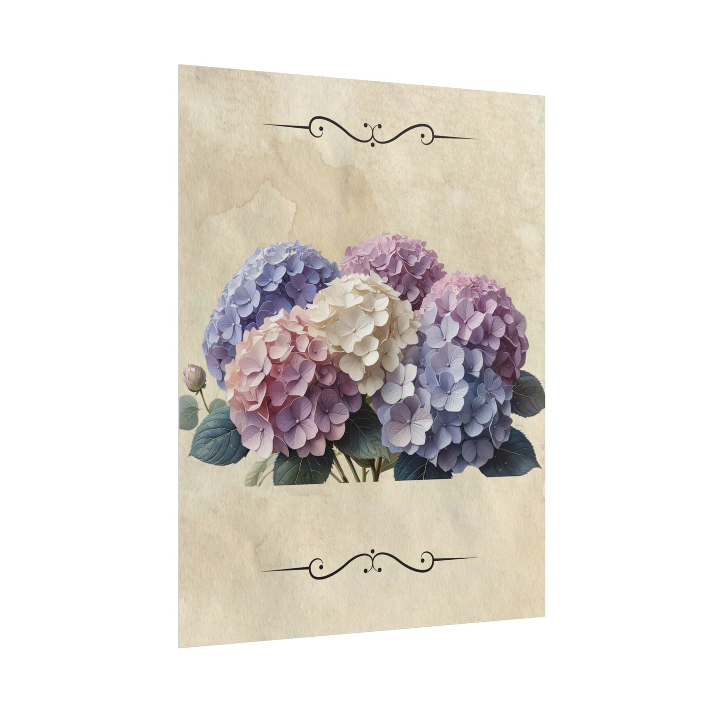 Rolled Posters - Vintage Hydrangea Wall Art