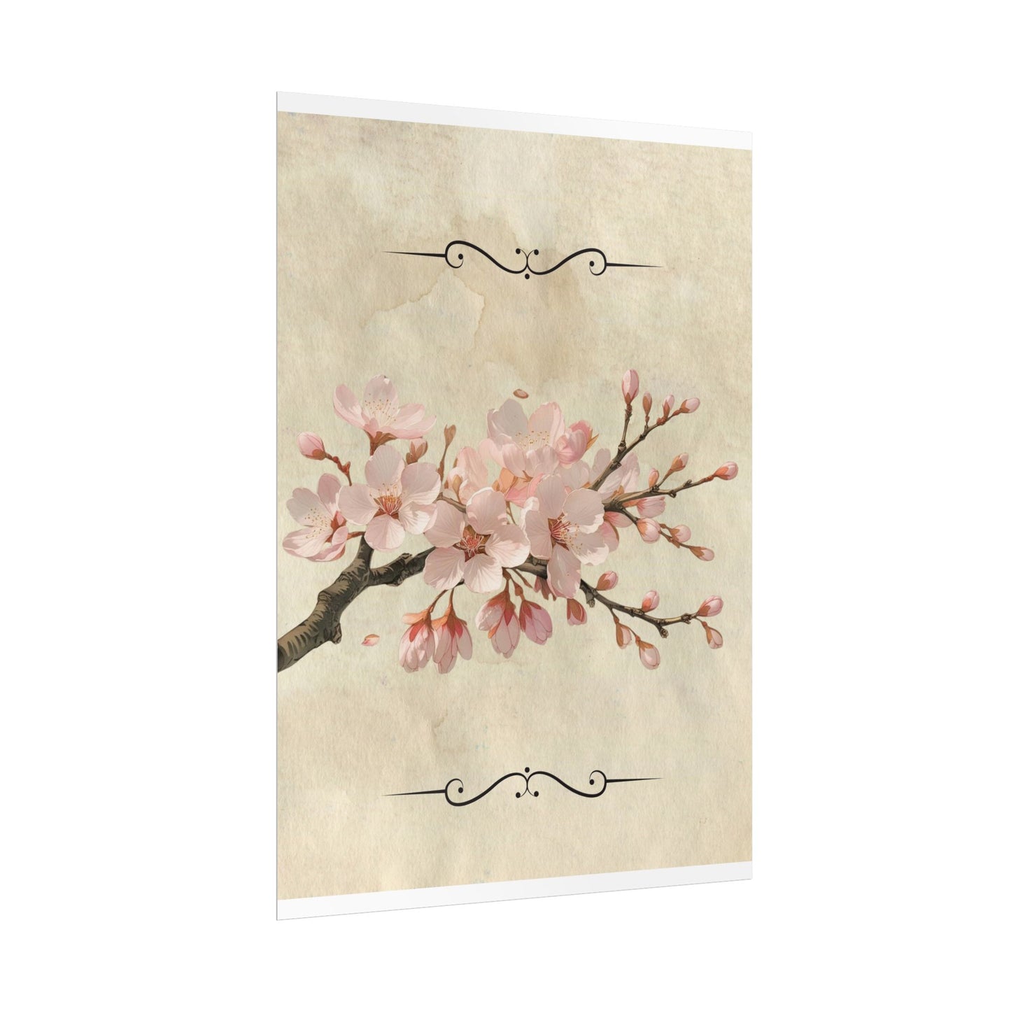 Vintage Cherry blossom on Rolled Posters