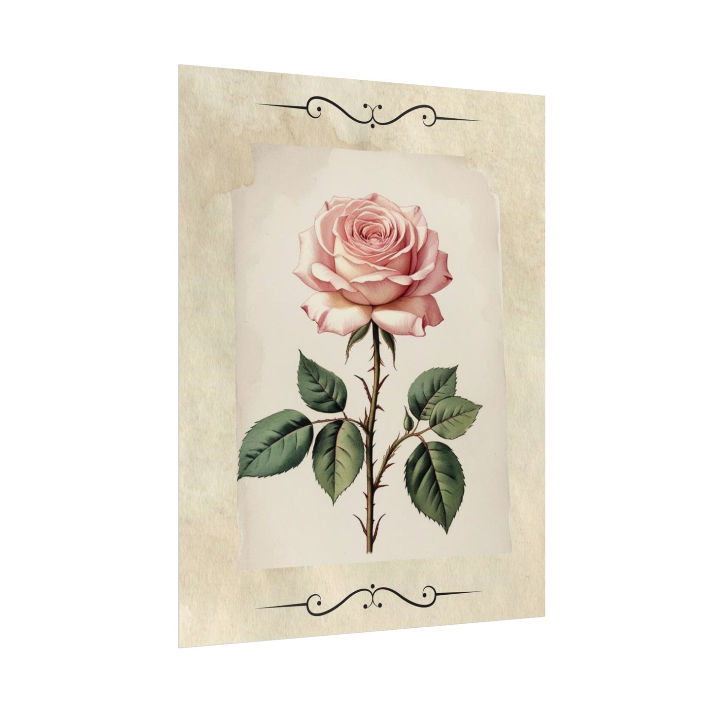 Poster Prints - Vintage Pink Rose Design