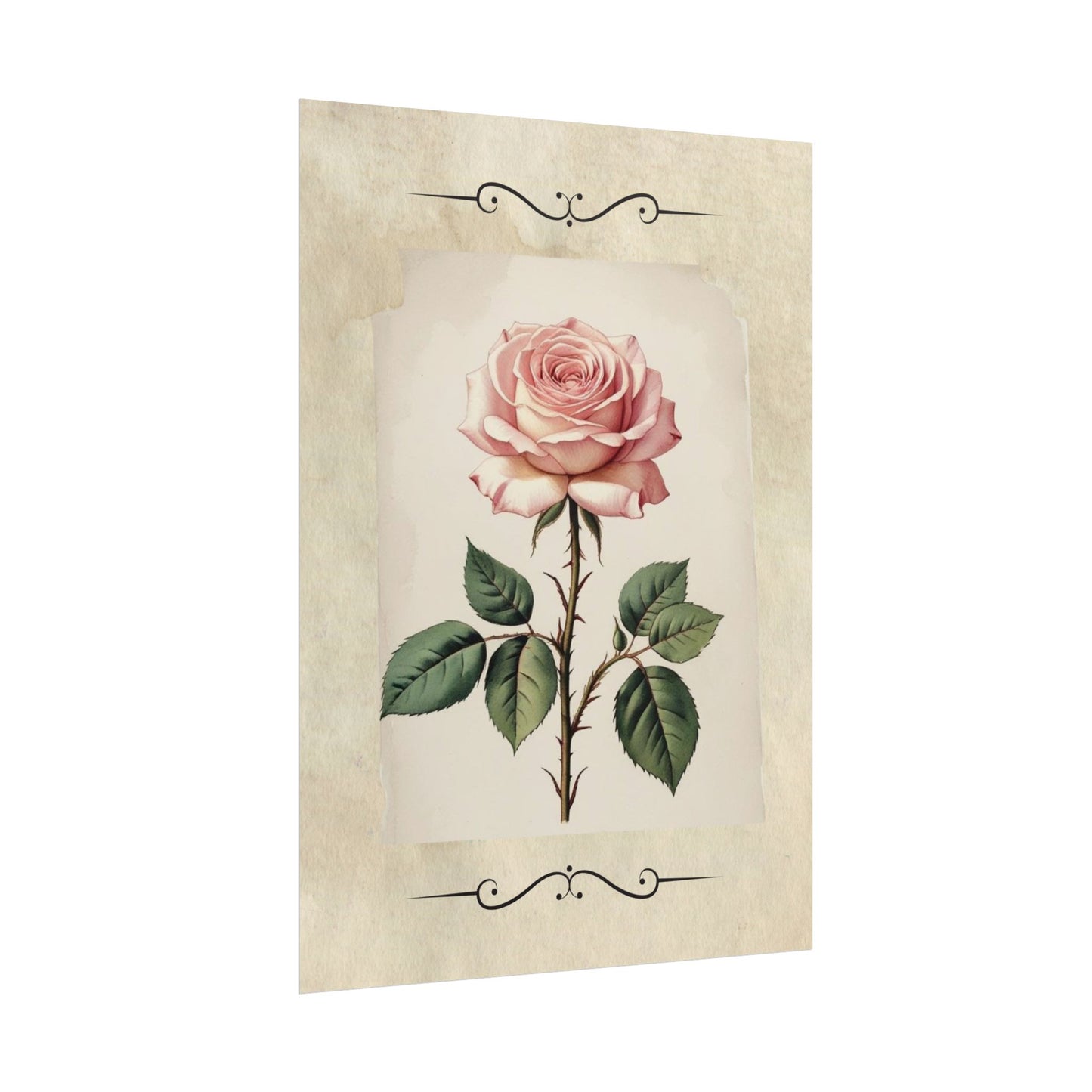Poster Prints - Vintage Pink Rose Design