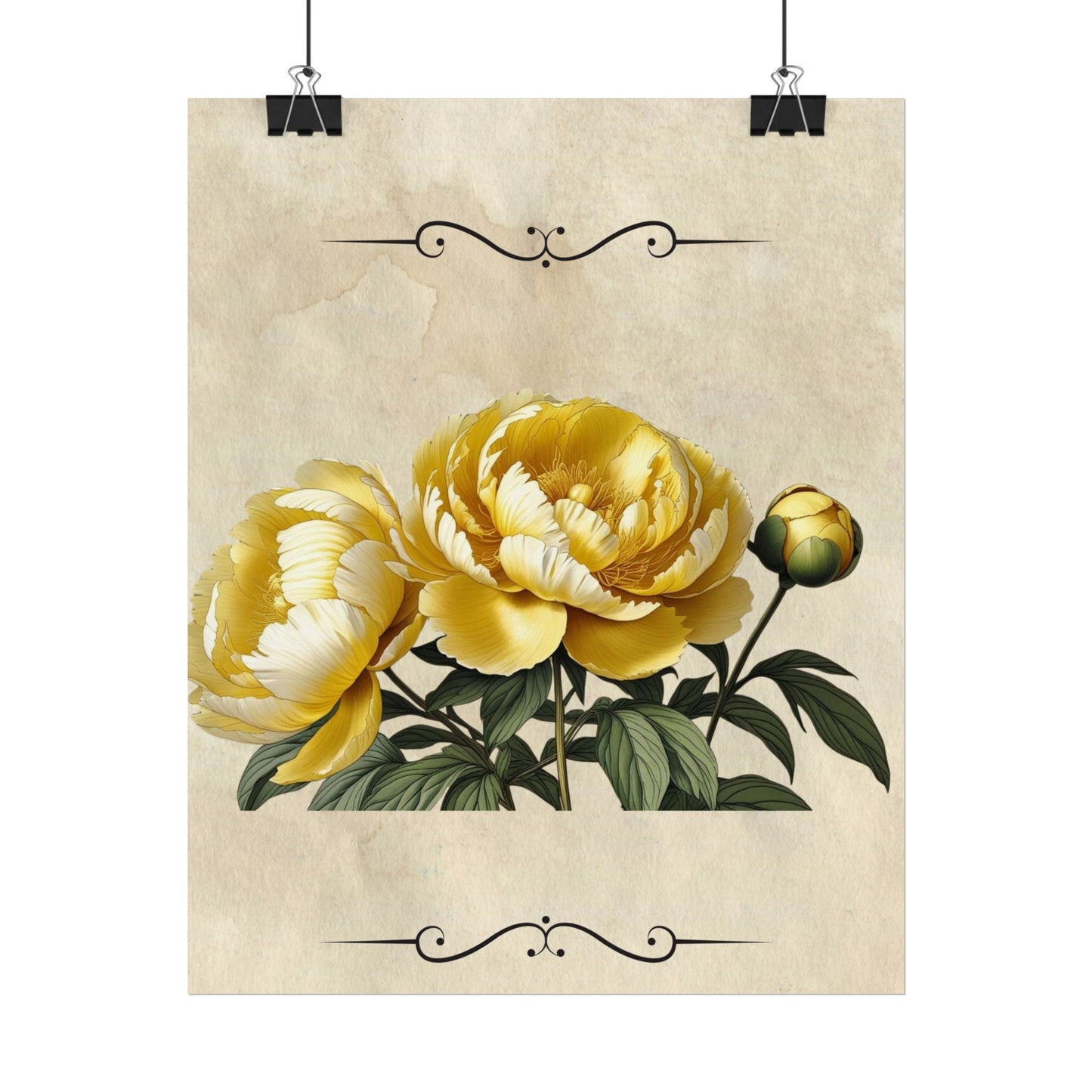 Poster Print Vintage Peony