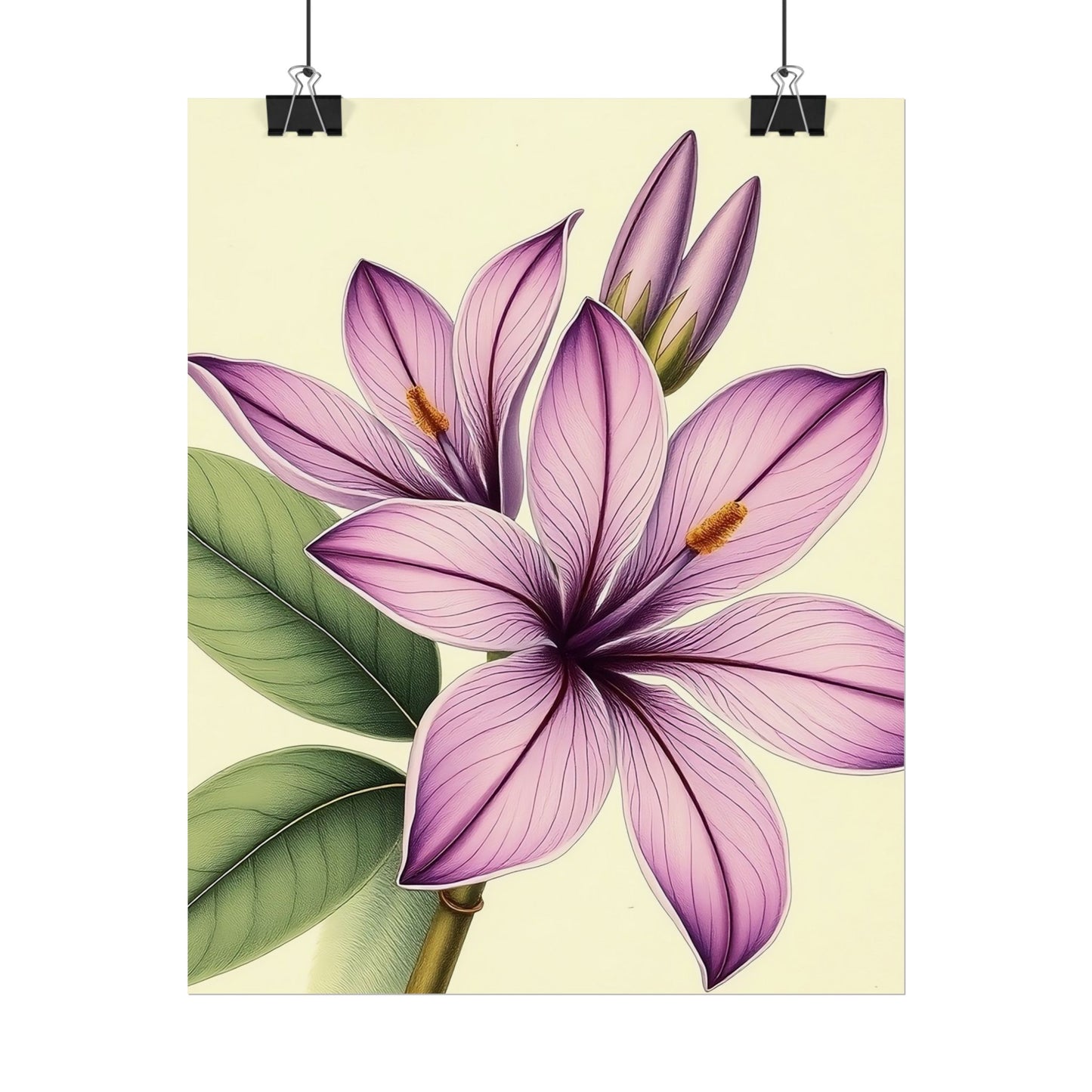 Vintage Purple Lily Poster