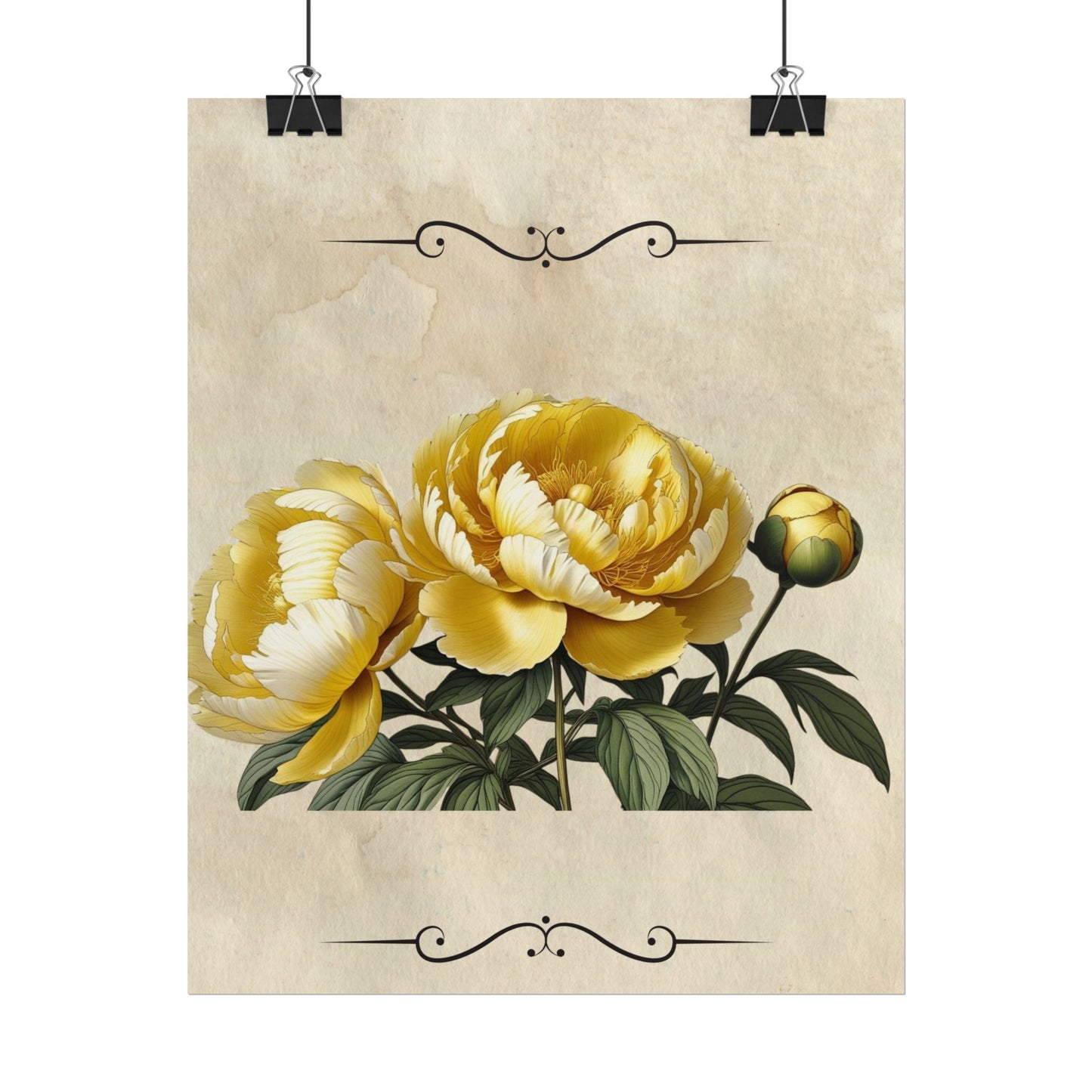 Poster Print Vintage Peony