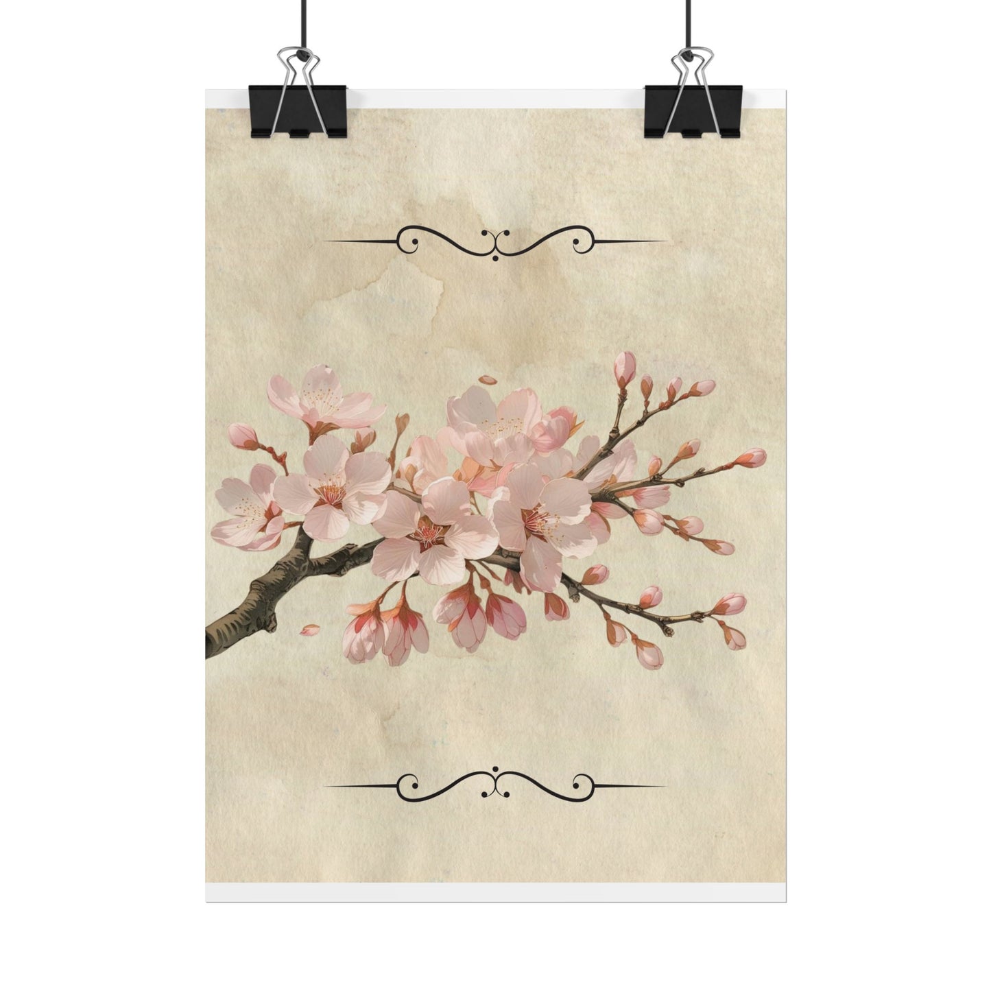 Vintage Cherry blossom on Rolled Posters