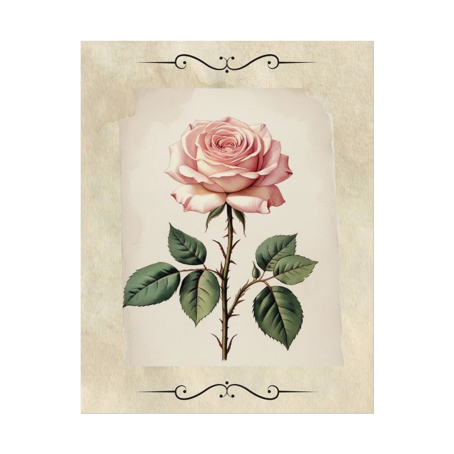 Poster Prints - Vintage Pink Rose Design