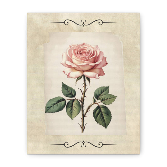 Vintage pink rose on Matte Canvas, Stretched, 1.25"