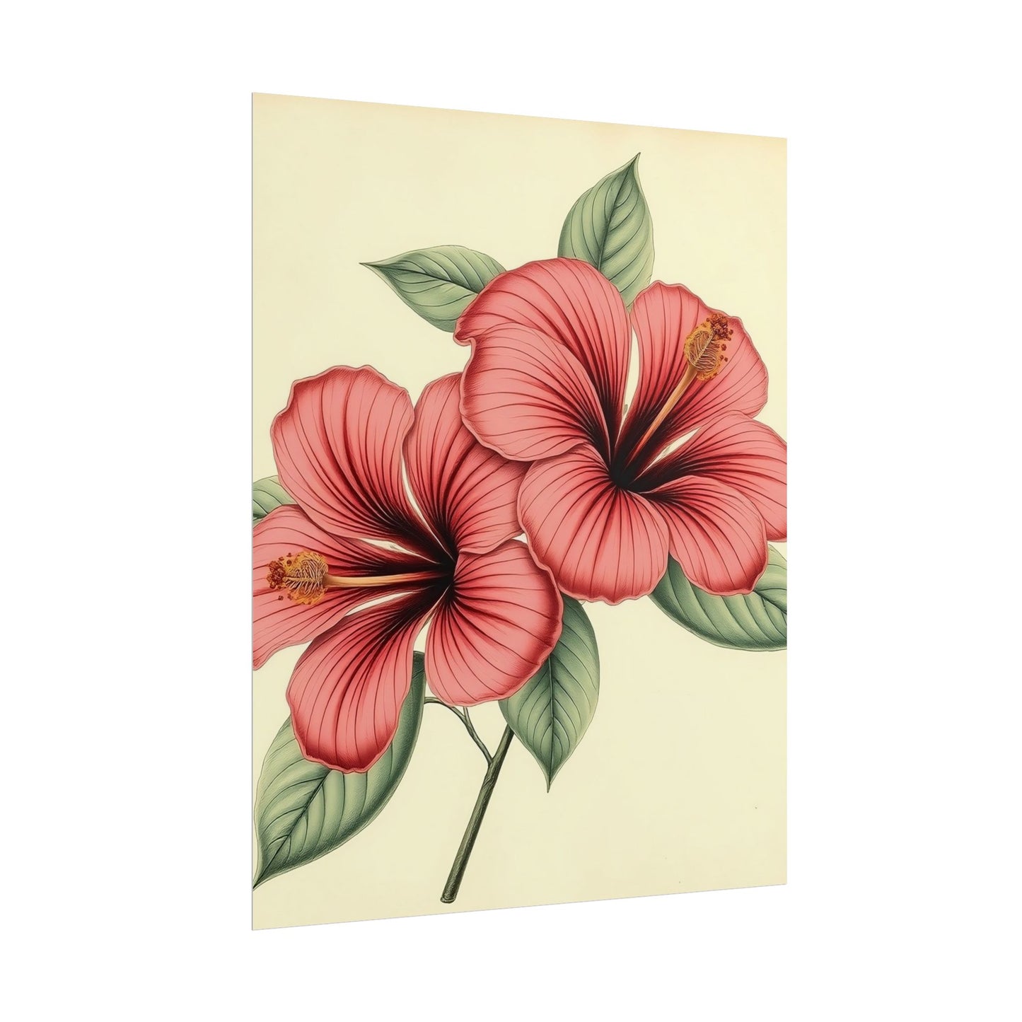 Vintage Hibiscus Poster