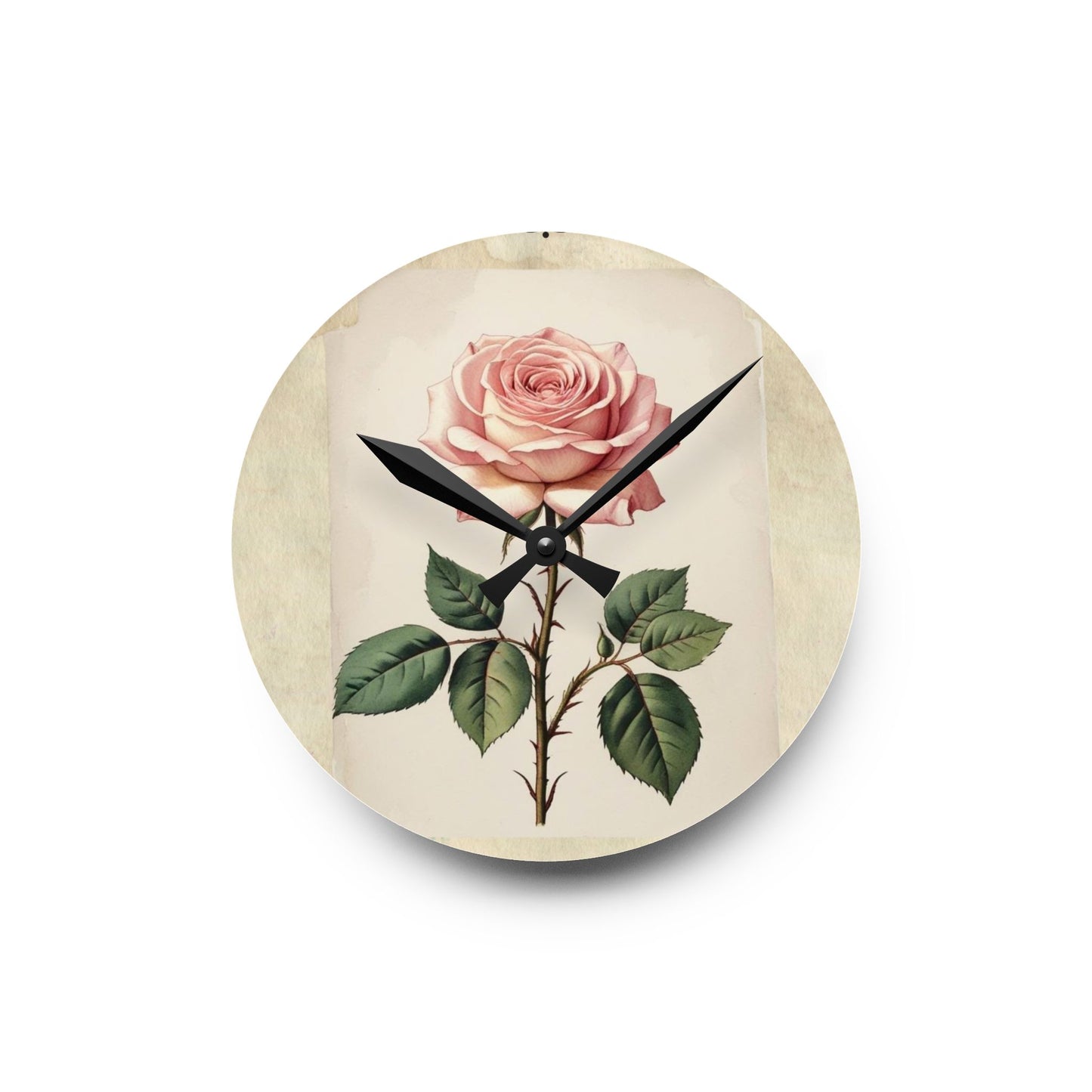 Vintage pink rose Acrylic Wall Clock