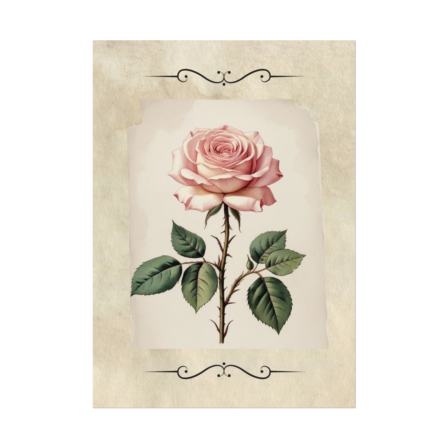 Poster Prints - Vintage Pink Rose Design