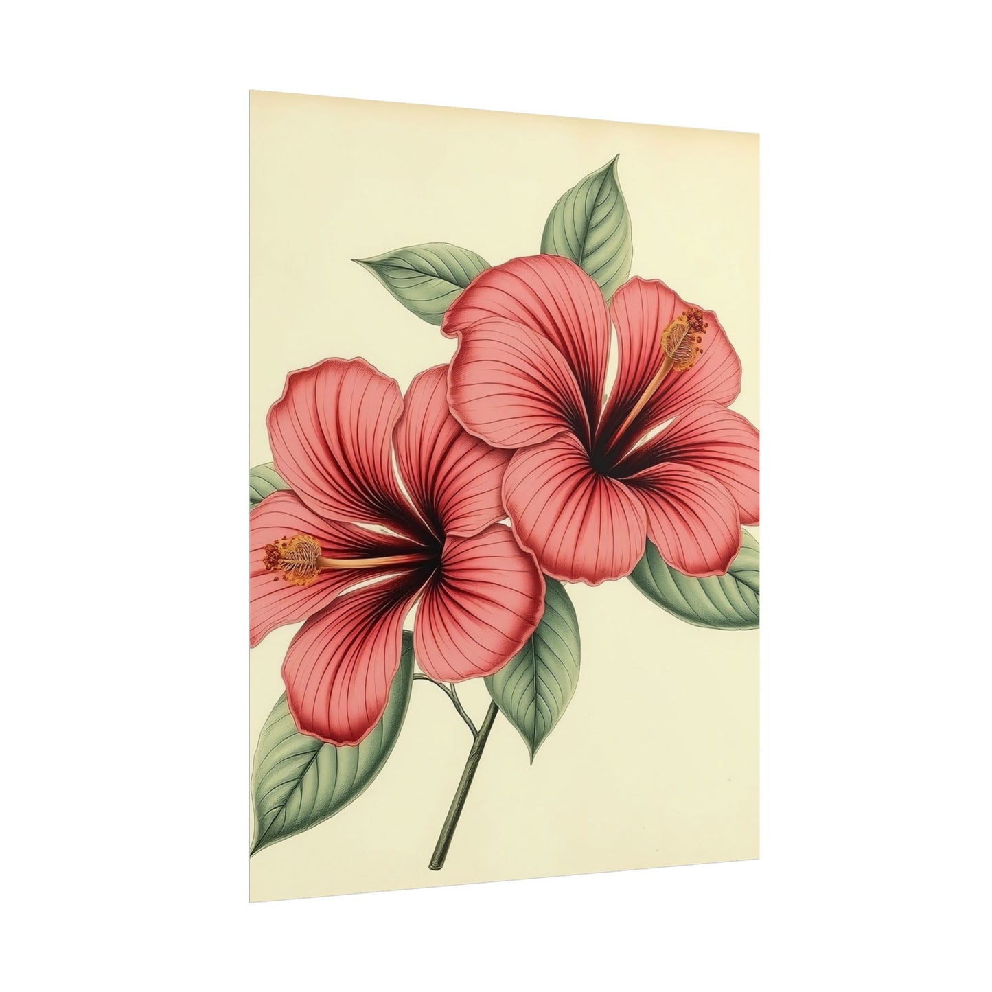 Vintage Hibiscus Poster