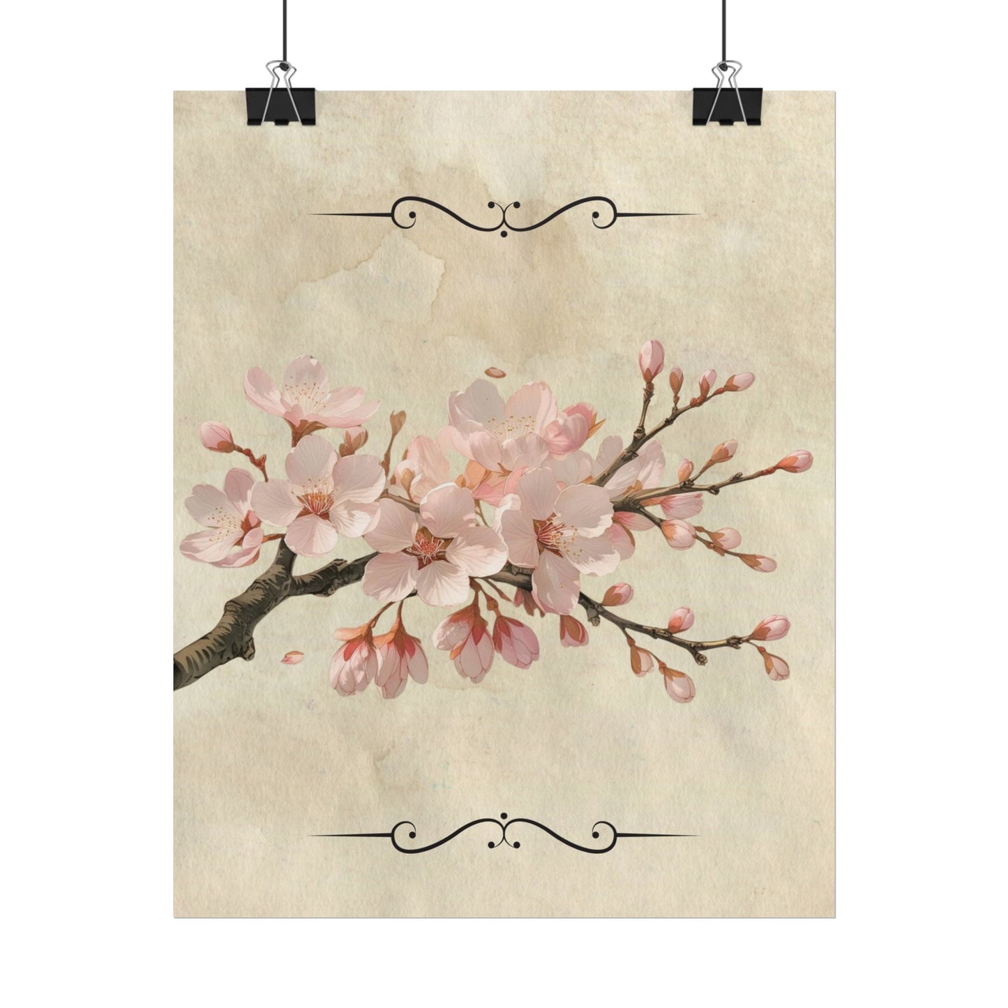 Vintage Cherry blossom on Rolled Posters