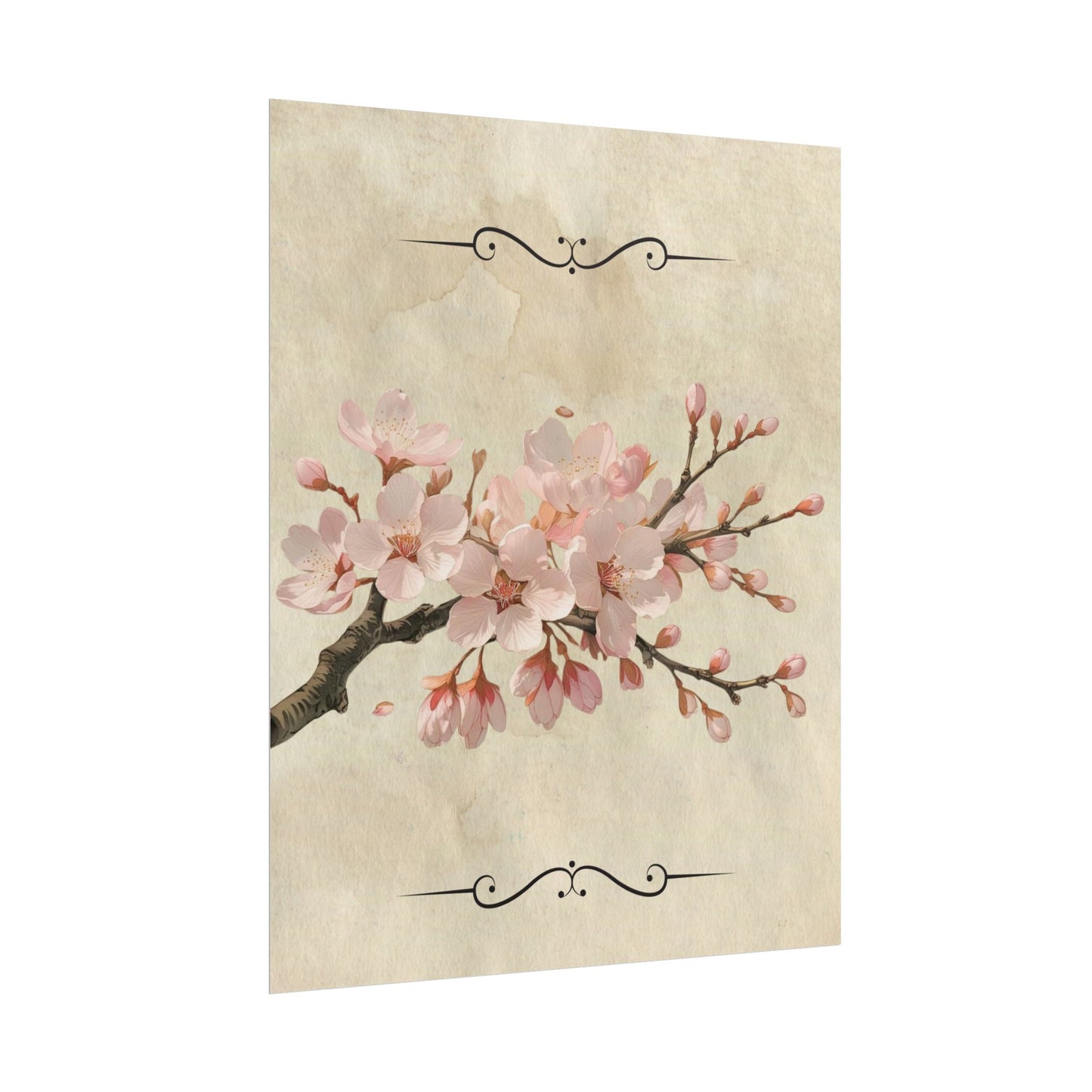 Vintage Cherry blossom on Rolled Posters