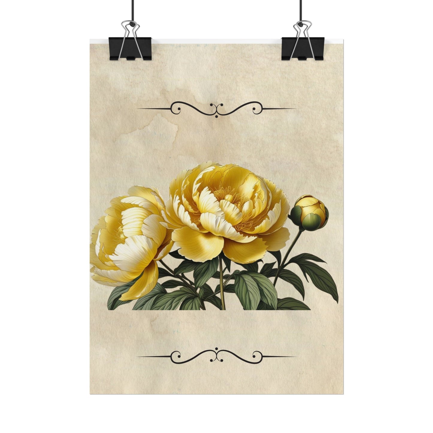 Poster Print Vintage Peony