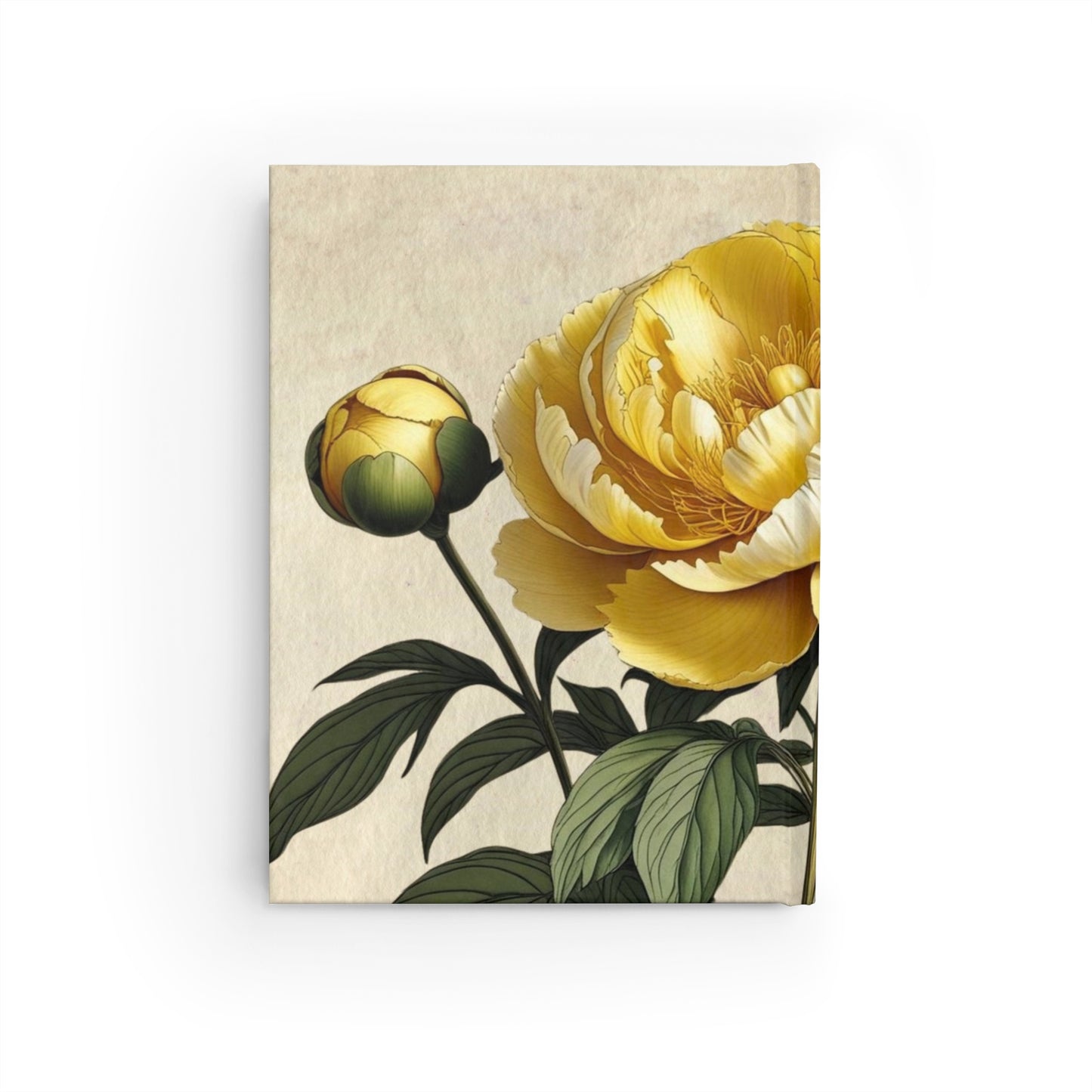 Vintage peony flower Journal - Ruled Line